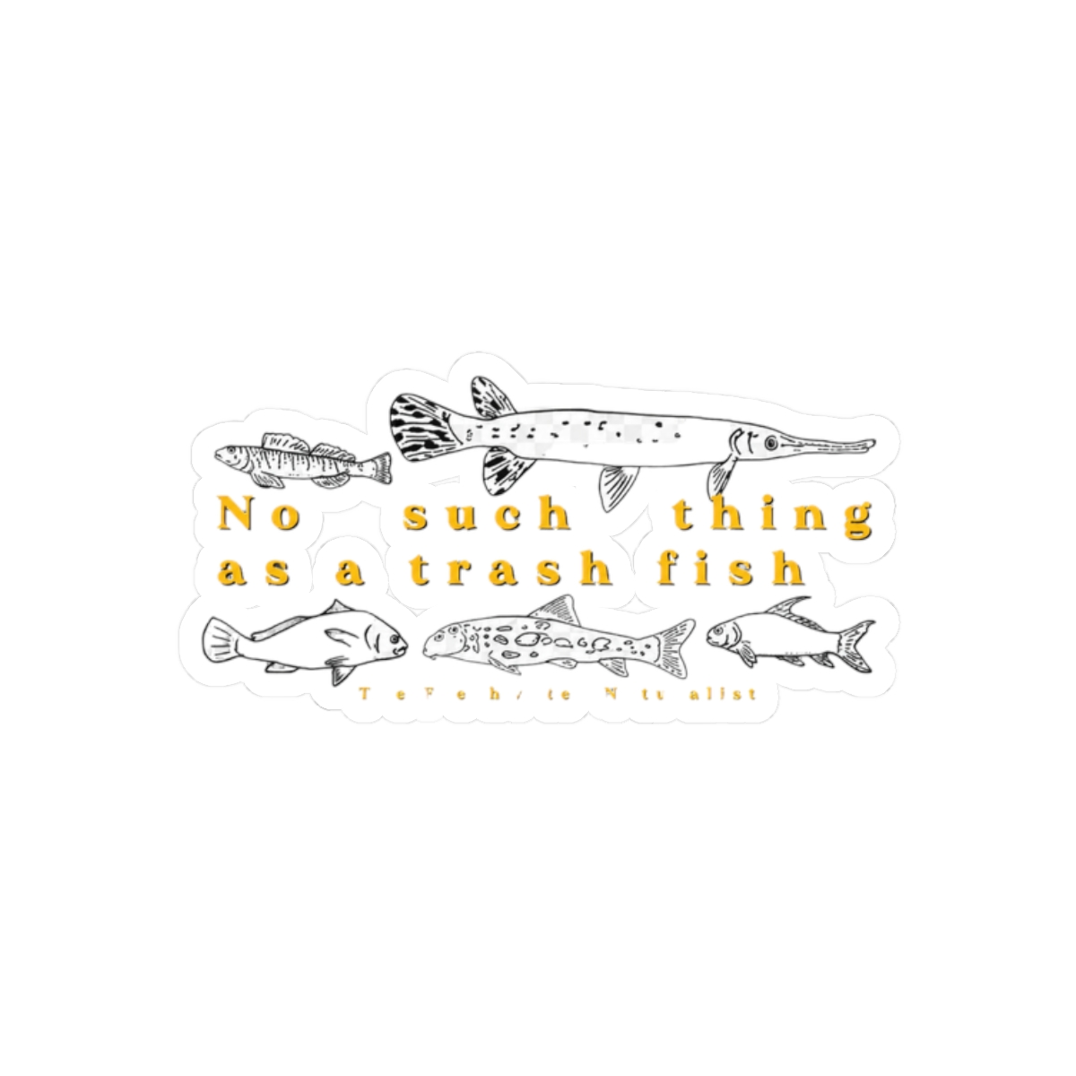 A white sticker with black line drawings of various fish species. The text "No such thing as a trash fish" is in yellow, with "The Freshwater Naturalist" below the fish illustrations - alternate angle 3, merchandise