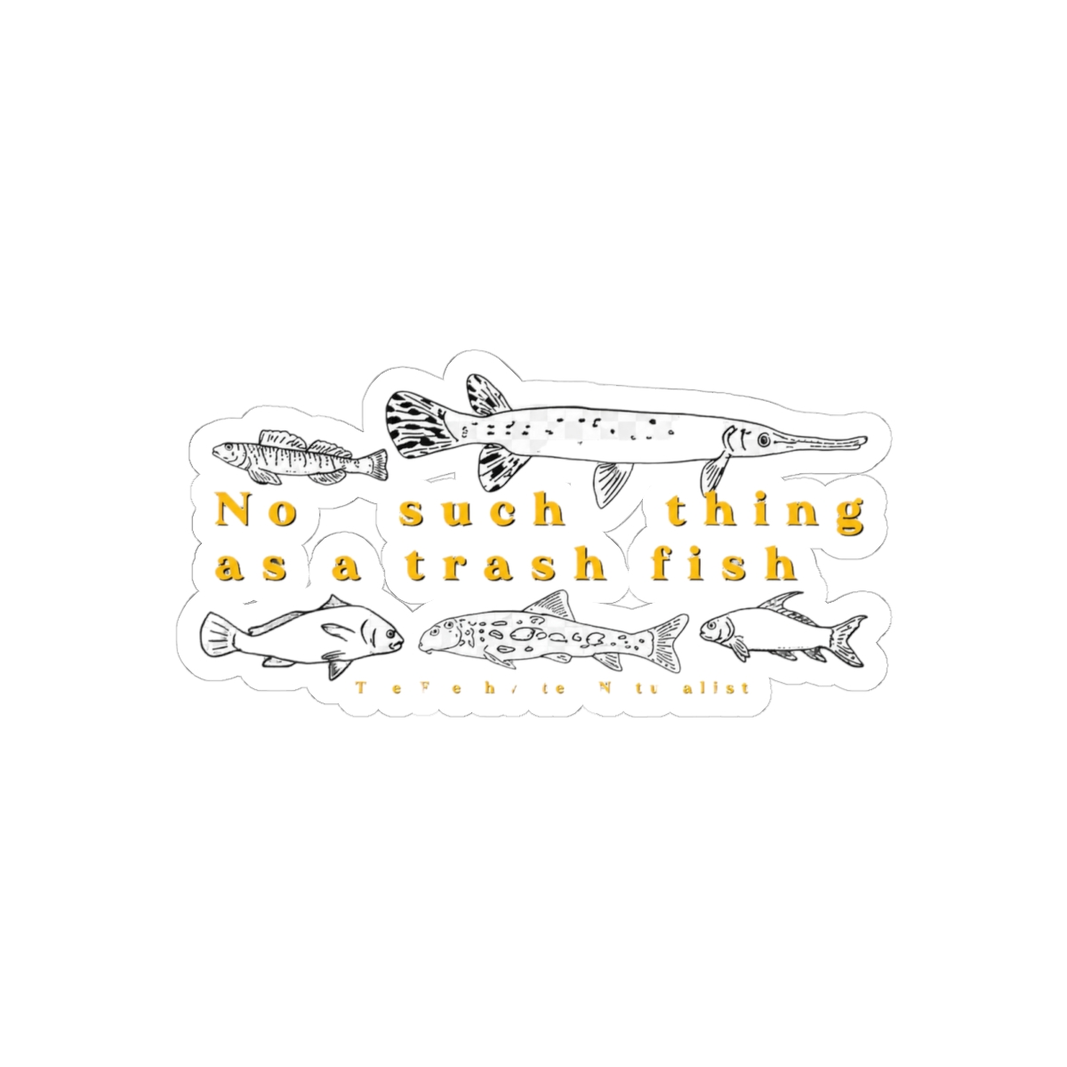 A white sticker with black line drawings of various fish species. The text "No such thing as a trash fish" is in yellow, with "The Freshwater Naturalist" below the fish illustrations